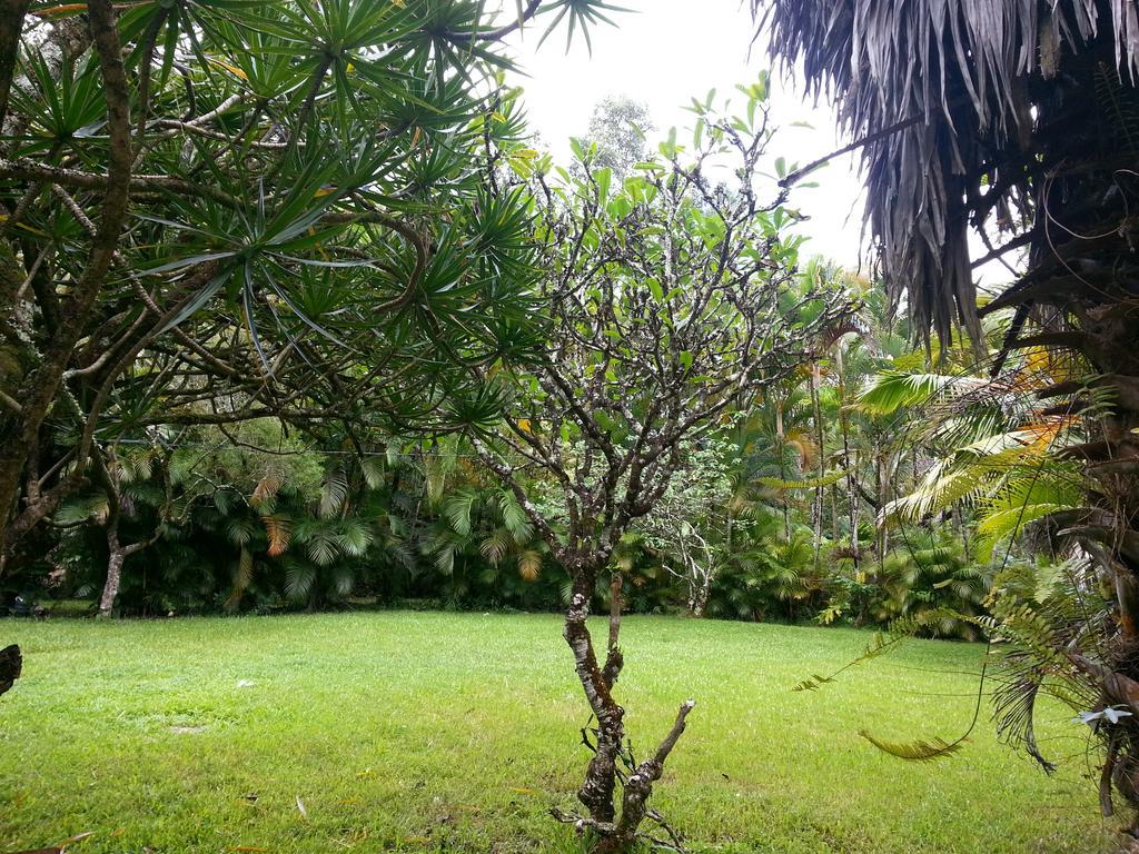 Hale Hale Hostel Pahoa Exterior foto