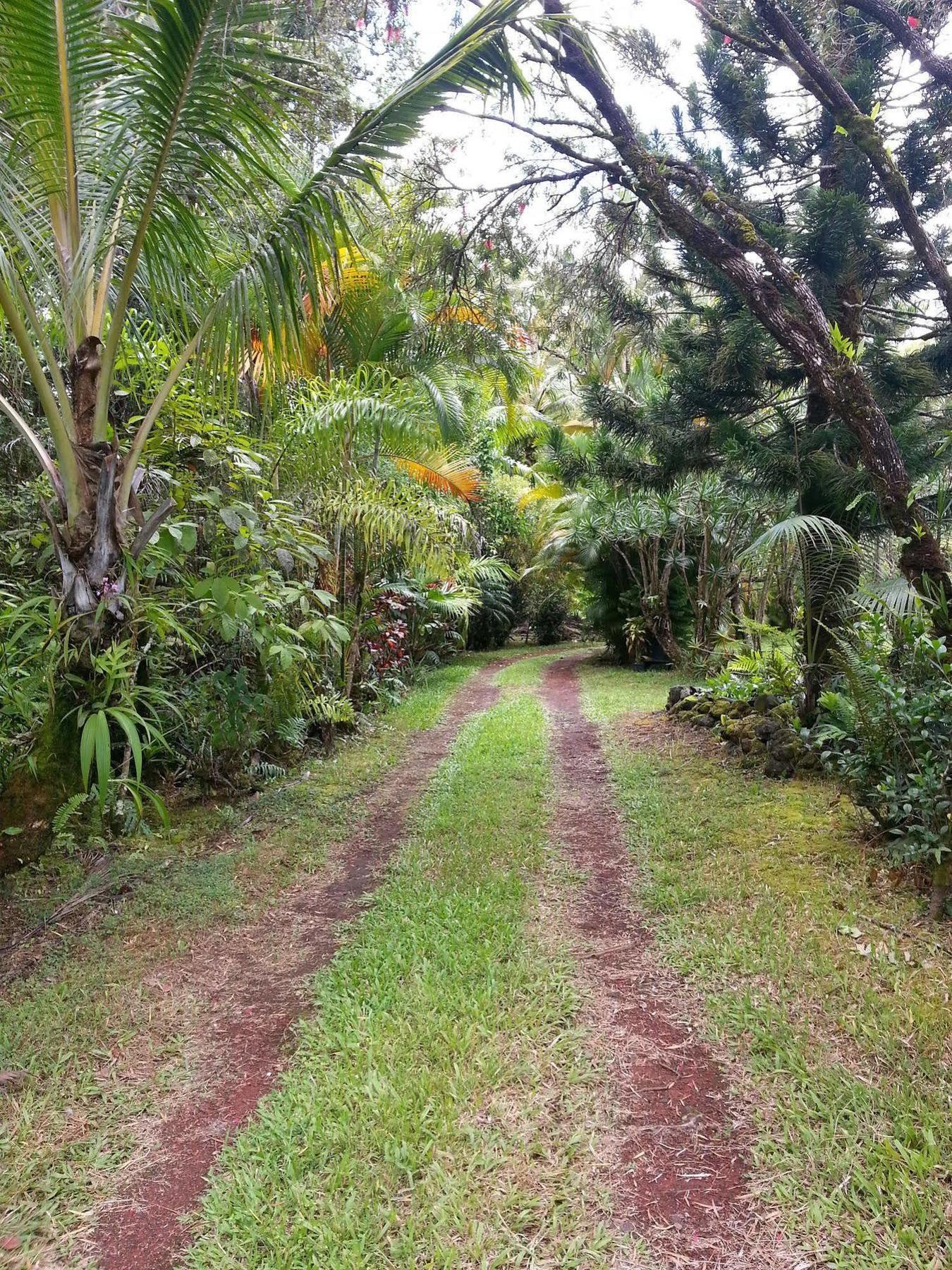 Hale Hale Hostel Pahoa Exterior foto